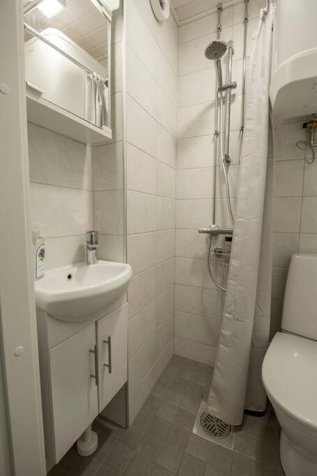 A Lovely Apartment Near Railway Station And Arena. Tampere Exterior foto
